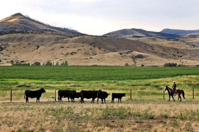 Mountain Sky Ranch / Crafted in Carhartt