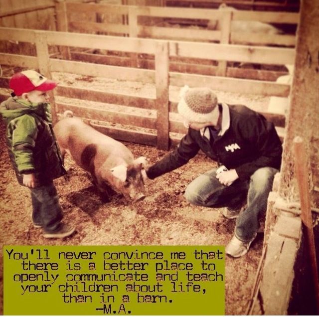 fa7054894623292724af3d7eb5c5d6a8