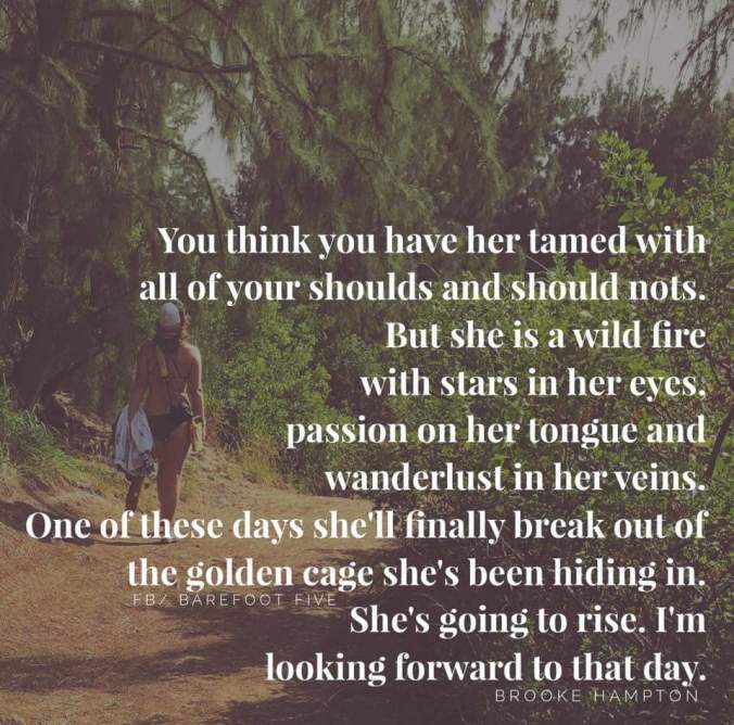 18221864_1301664896578429_982699793715842290_n